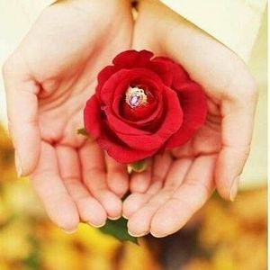 Meet your Posher, Eli